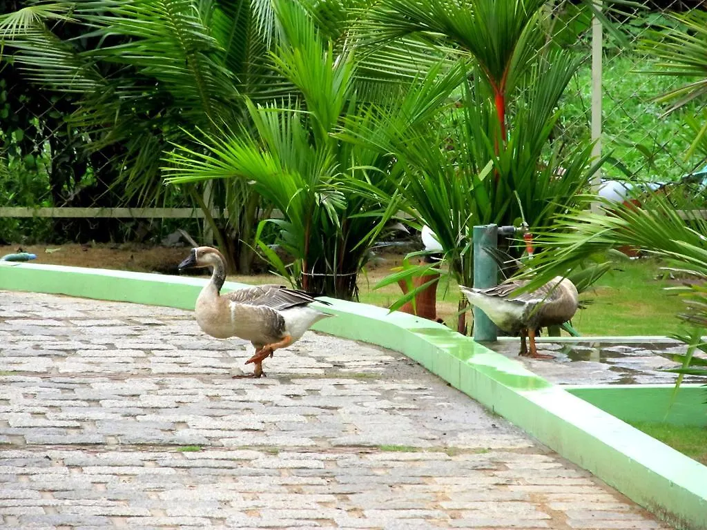 Casa Ribera Ayurveda Resort  Kaladi